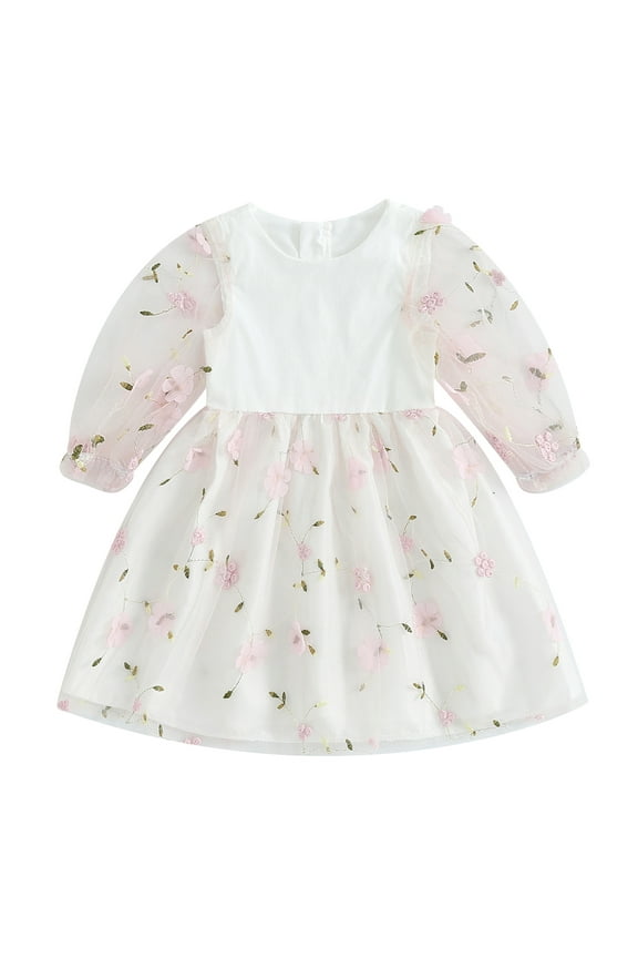 Kids Girls Fall Spring Casual Dress Toddler Girls Long Puff Sleeve Flower Embroidery Sheer Mesh A-line Dress Fashion Party Princess Dress 3T-7T