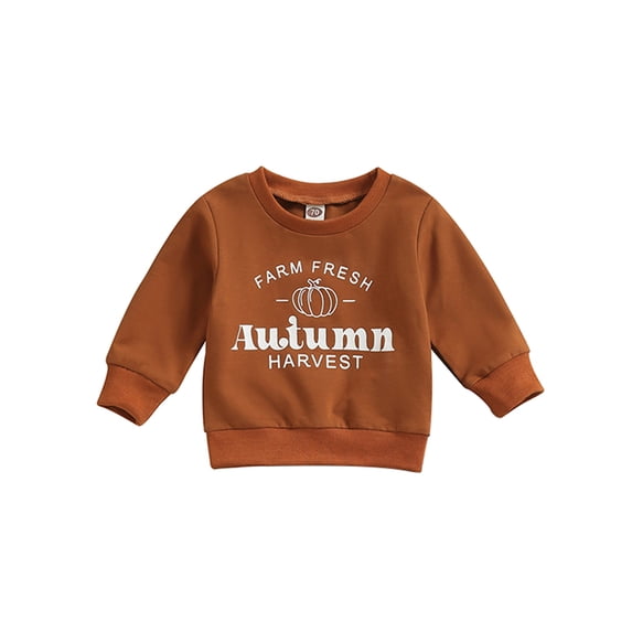Wassery Toddler Boys Girls Fall Clothes Kids Halloween Outfits Long Sleeve Pumpkin Letter Print Sweatshirt 12M-5T