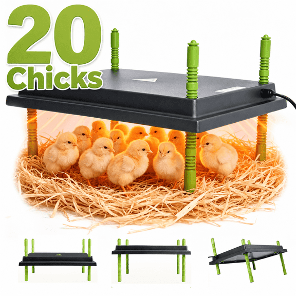 Wassolls 12"x10" Chicken Brooder Heater for up to 20 Chicks, Heater Plate with Adjustable Height and Angle, Warmer Coop Heater for Chick Reptile Pet