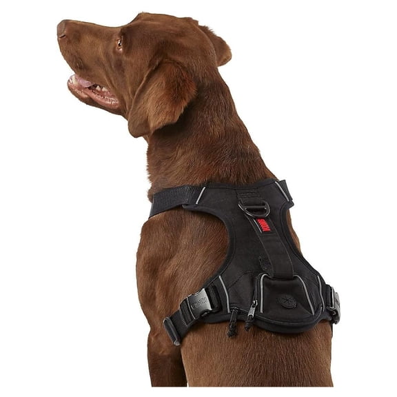 Waste Bag Dog Harness - Medium, Black - Control, Dispenser, Reflective - Outdoor Walking & Training