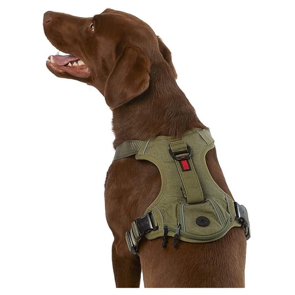Waste Bag Dog Harness - Medium, Green - Control & Convenience for Walks