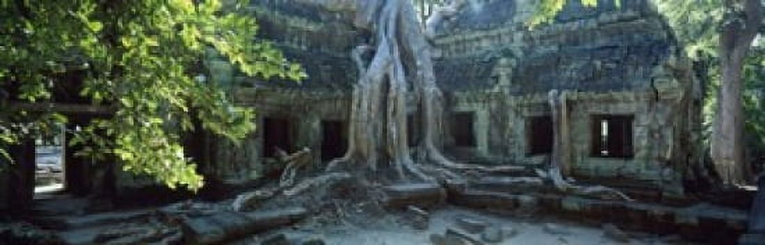 Wat Temple Complex of Ta-Prohm Cambodia Canvas Art - Panoramic Images (18 x 6)