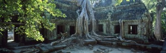 Wat Temple Complex of Ta-Prohm Cambodia Canvas Art - Panoramic Images (36 x 12)