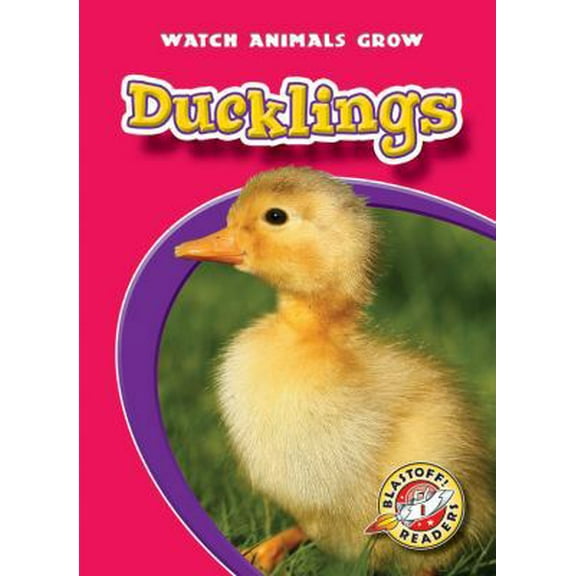 Pre-Owned Ducklings (Paperback) 1600143881 9781600143885