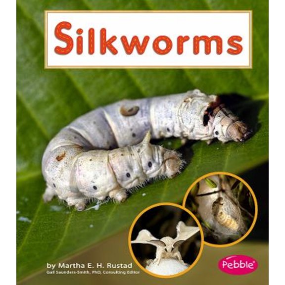 Pre-Owned Silkworms (Hardcover) 142962230X 9781429622301