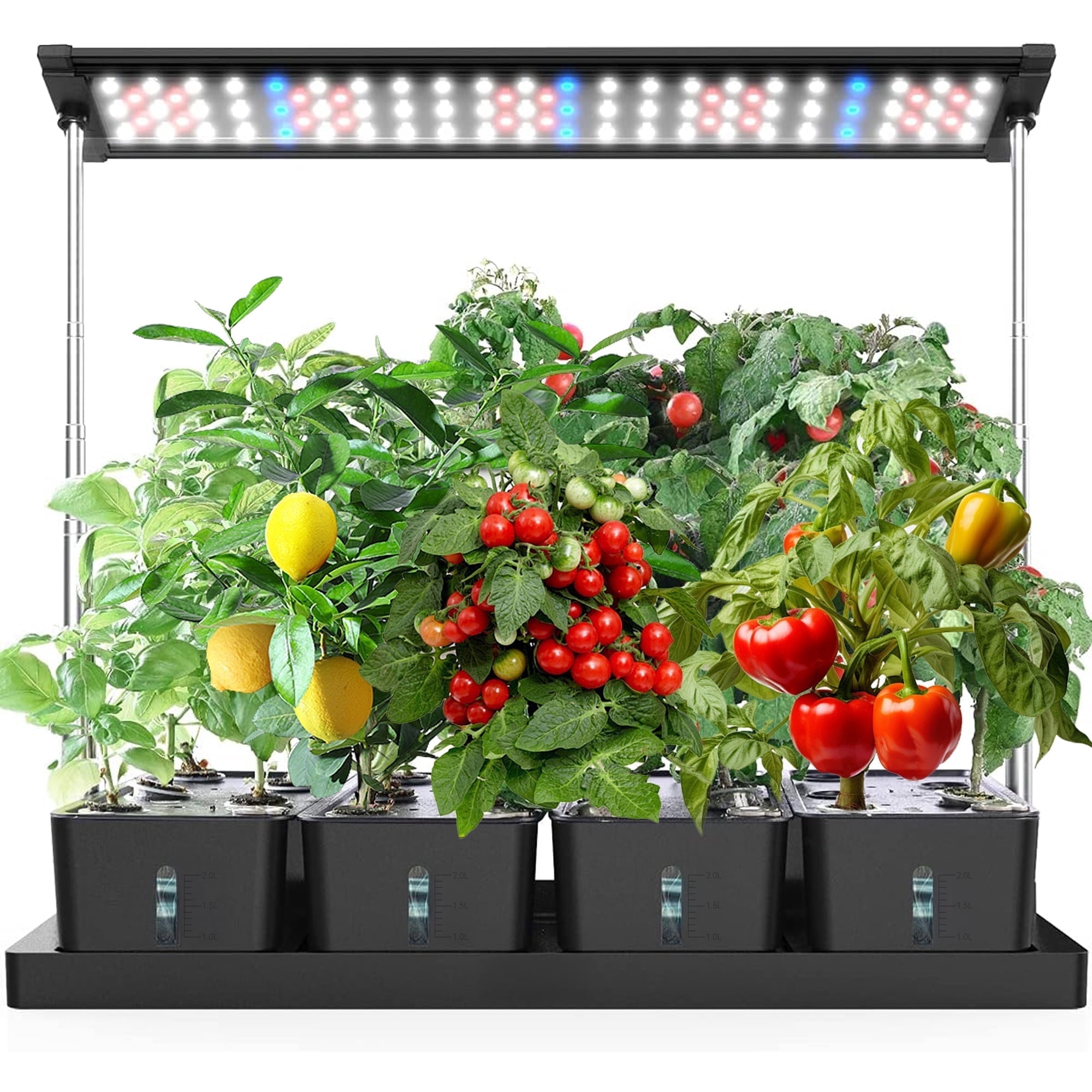 Indoor Hydroponics Growing System - 20 Pods Indoor Herb Garden with LED Grow Light Automatic Timer, Hydroponic Garden Planter, Gifts for Plant Lovers