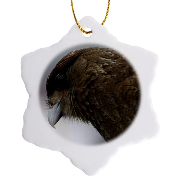 3drose, Watcher, 3 inch Snowflake Porcelain Ornament