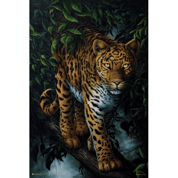 Watchful Eyes by Jenny Newland Poster - 24" x 36"