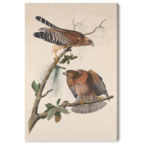 Watchful Pair Canvas Print Botanical Art by Art Remedy, Gallery Wrapped, 30 x 45