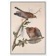 thumbnail image 1 of Watchful Pair Canvas Print Botanical Art by Art Remedy, White Frame, 30 x 45, 1 of 6