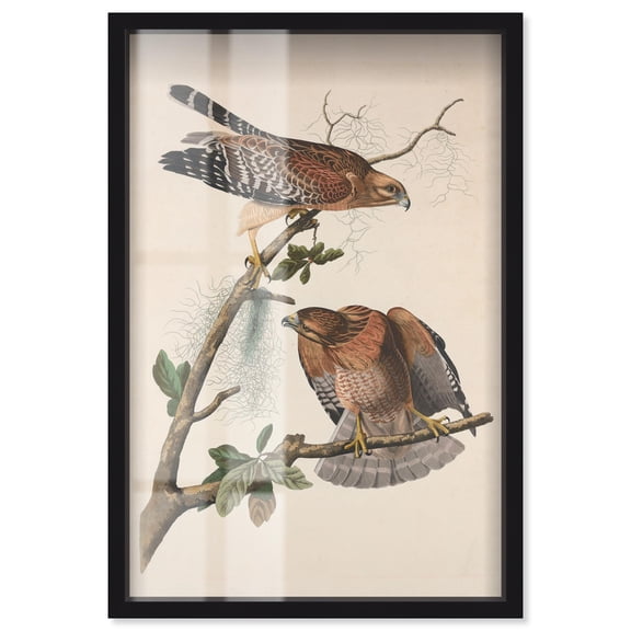 Watchful Pair Shadowbox Print Botanical Art by Art Remedy, Black Frame, 16 x 24