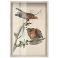 thumbnail image 1 of Watchful Pair Shadowbox Print Botanical Art by Art Remedy, Blonde Frame, 10 x 15, 1 of 6
