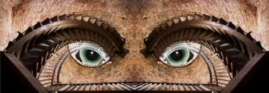 Watching You Canvas Art - Paco Palazon (8 x 24)
