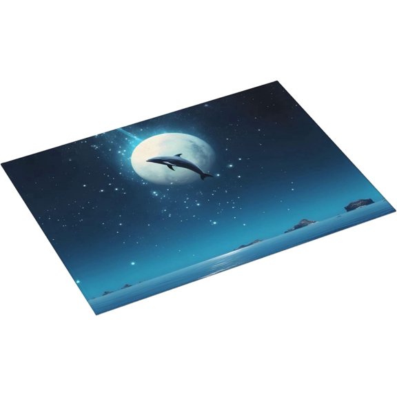 Water Absorbing Anti Slip Floor Mat Night Sky Moon Dolphin Design 16 x 24 Inch for Home Classroom Bedroom Living Room and Kitchen Counter