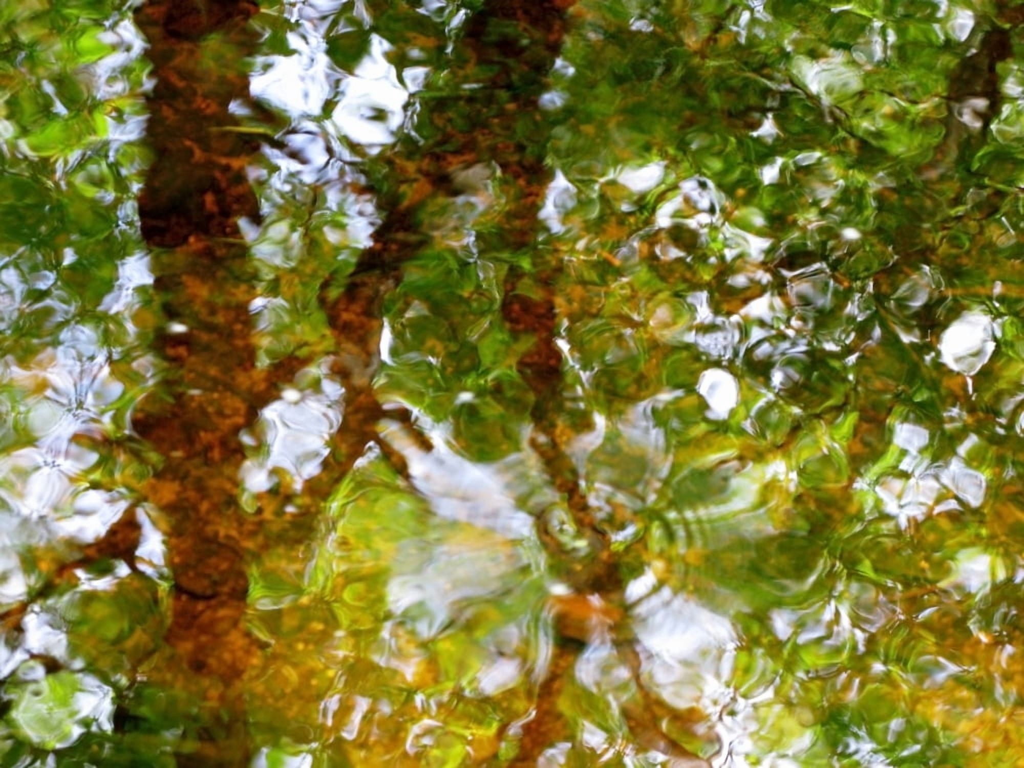 Water Abstract 17 Massachusetts Seekonk Caratunk Wildlife Refuge Ripples And Reflections On Water Surface Canvas Art - Joanne Baldaia Design Pics (32 x 24)