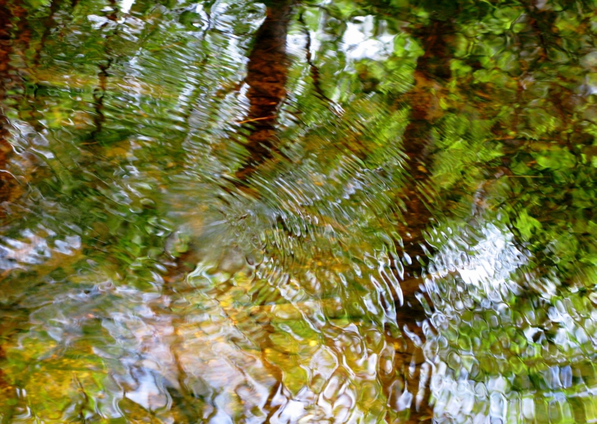 Water Abstract 18 Massachusetts Seekonk Caratunk Wildlife Refuge Ripples And Reflections On Water Surface Canvas Art - Joanne Baldaia Design Pics (32 x 24)