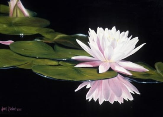 Water Beauty Canvas Art - Jenny Stewart (24 x 18)
