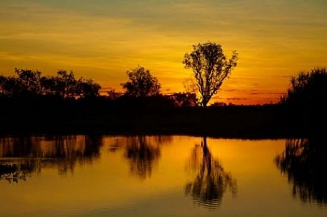Water Billabong Kakadu NP Northern Territory Australia Canvas Art - David Wall DanitaDelimont (36 x 24)