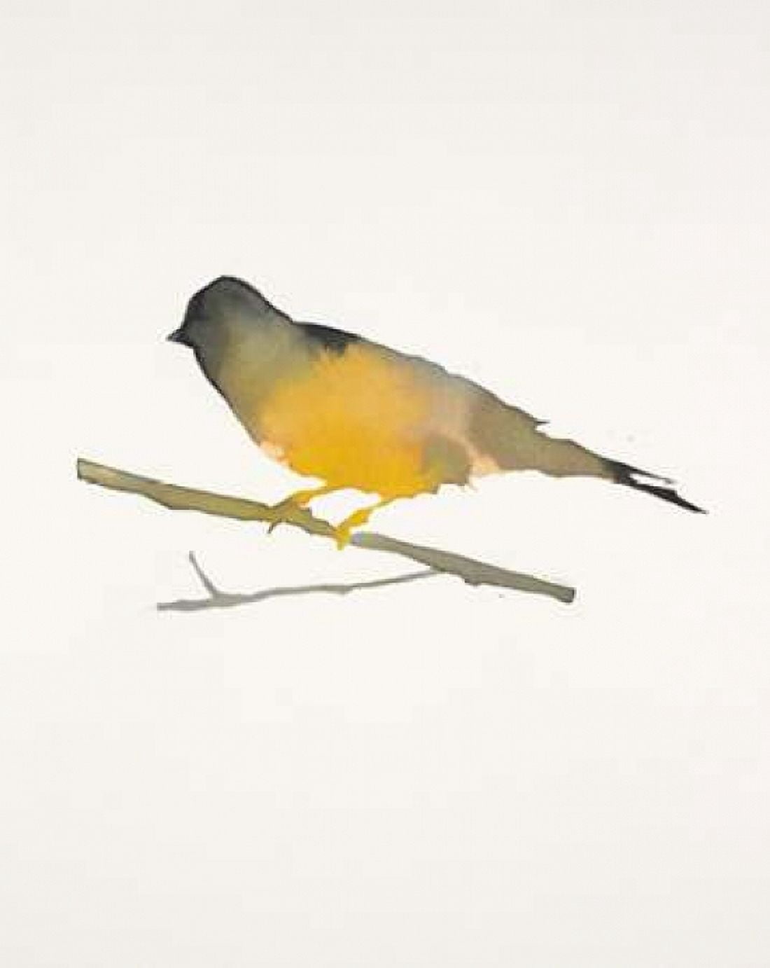 Water Bird 4 Canvas Art - Megan Swartz (24 x 30)