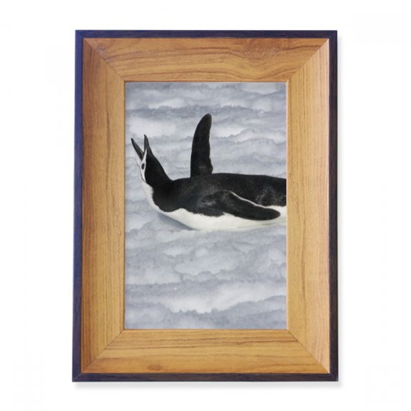 Water Black Antarctic Penguin Picture Photo Frame Exhibition Display Art Desktop Painting