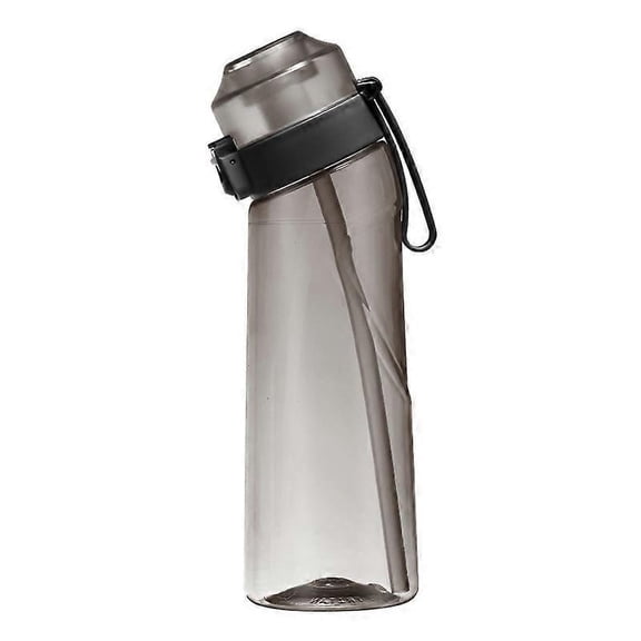 Water Bottle - 650ml Transparent Gray Flavored Water Bottle