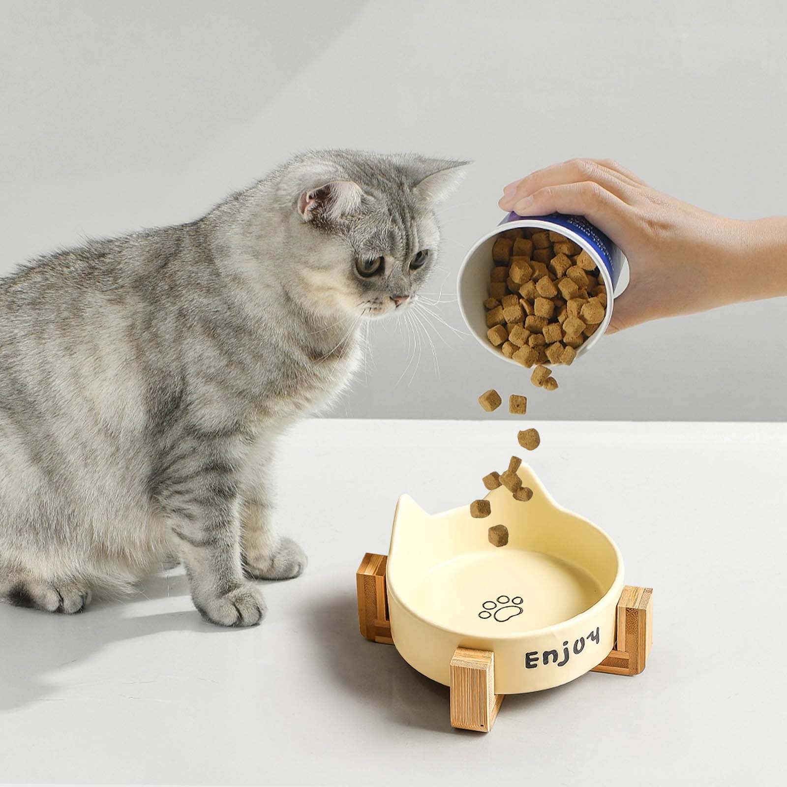 Water Bowl for Cats Elevated Pet Food Bowls,Ceramic Food Bowl for Pet Bowls for Cats,Small Dog Bowls for Puppies,Dog Bowls for Small Dogs