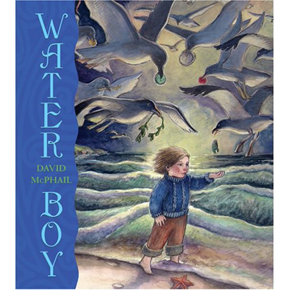 Pre-Owned Water Boy (Hardcover) 081091784X 9780810917842