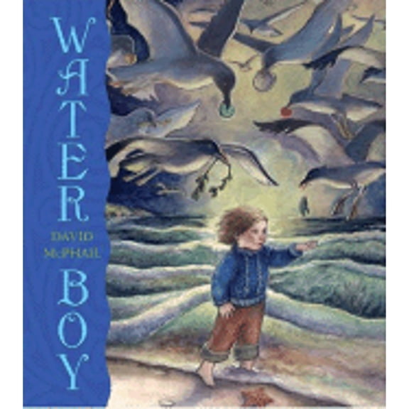 Pre-Owned Water Boy (Hardcover) 081091784X 9780810917842