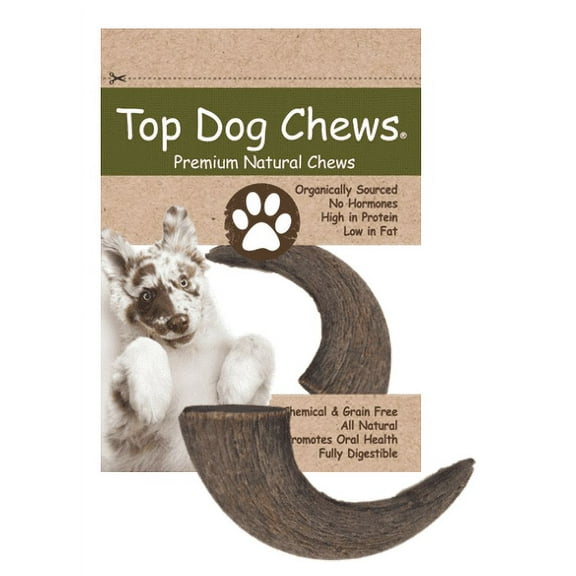 Water Buffalo Horn - Medium - 1 Piece