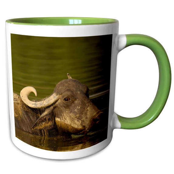 3drose, Water Buffalo, Wildlife, Bharatpur Village, -as10 Pox0543 - Pete Oxford, 11oz Two-tone Green Mug