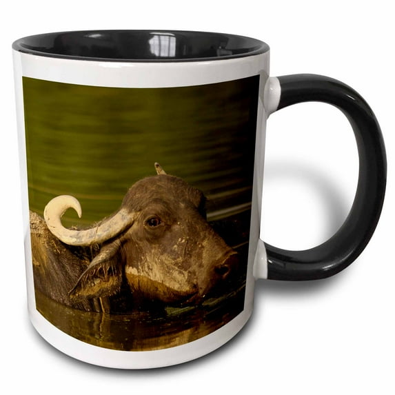 3drose, Water Buffalo, Wildlife, Bharatpur Village, -as10 Pox0543 - Pete Oxford, 15oz Two-tone Black Mug