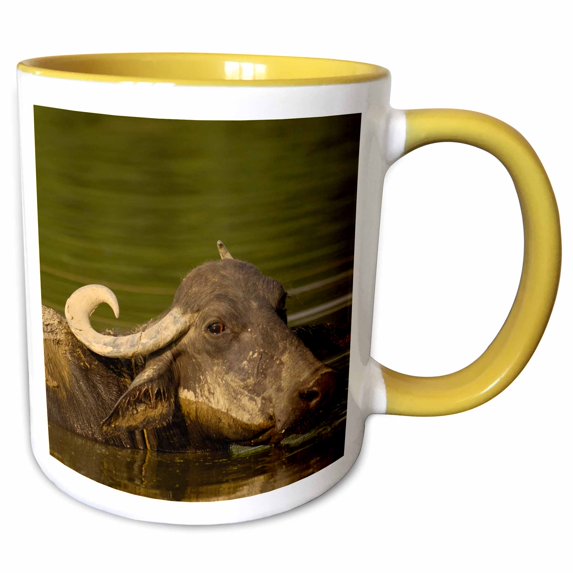 3drose, Water Buffalo, Wildlife, Bharatpur Village, -as10 Pox0543 - Pete Oxford, 15oz Two-tone Yellow Mug