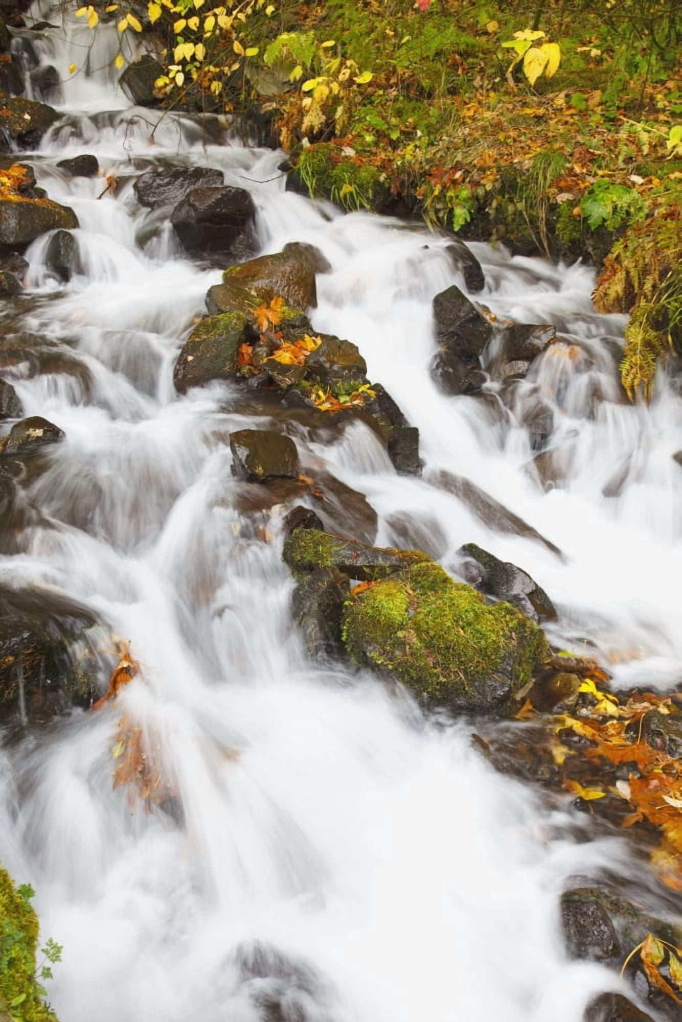 Water Cascading Down A Hill Canvas Art - Craig Tuttle Design Pics (12 x 19)