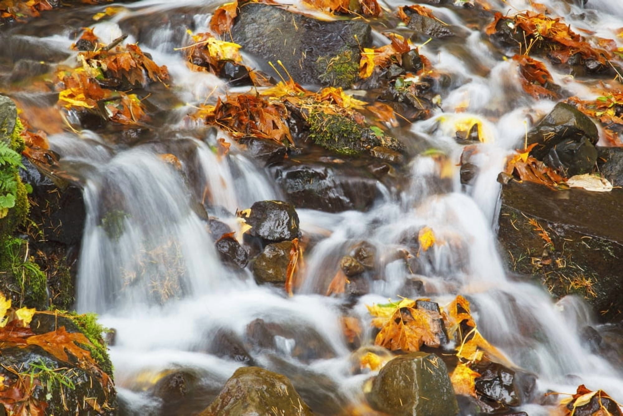 Water Cascading Over Rocks Covered In Leaves In Autumn Canvas Art - Craig Tuttle  Design Pics (19 x 12)