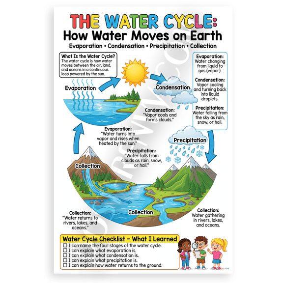 Water Cycle Evaporation Condensation Precipitation Collection Educational 12x18 US Made Poster