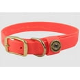 thumbnail image 1 of Water Dog Collar, 1 of 3
