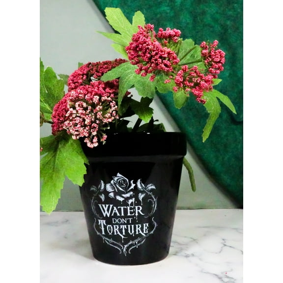 Water Don't Torture Rose Vines Wicca Witch Apothecary Flower Herbs Planter Pot
