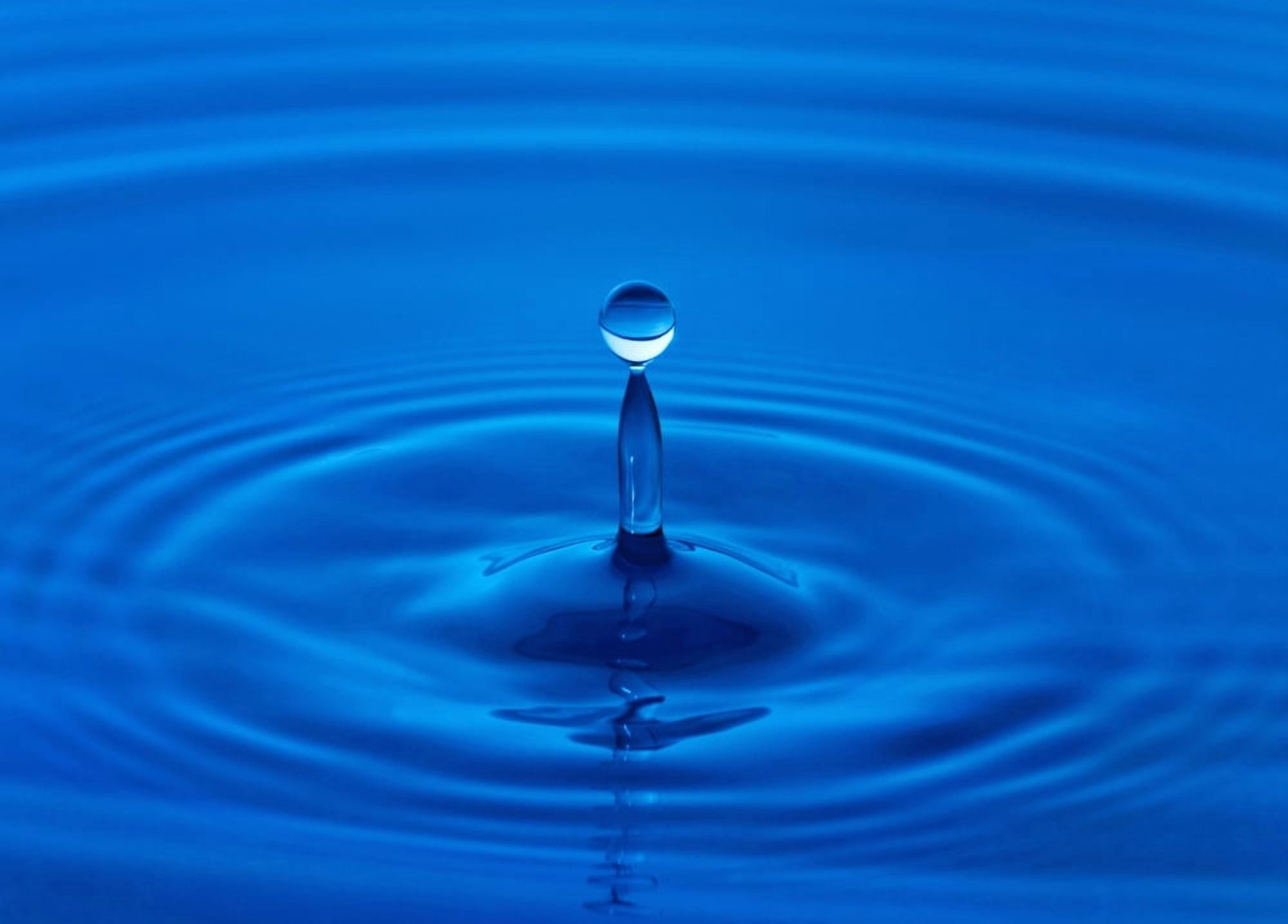 Water Droplet Canvas Art - Karen Shukle Design Pics (36 x 24)