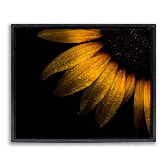 Water Droplets on Sunflower Black Framed Floater Canvas Wall Art, design by Brian Carson Photography