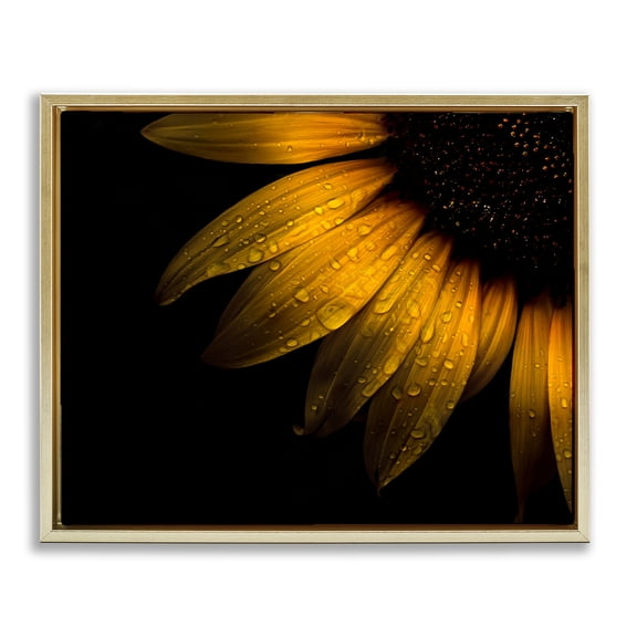 Water Droplets on Sunflower Gold Framed Floater Canvas Wall Art, design by Brian Carson Photography