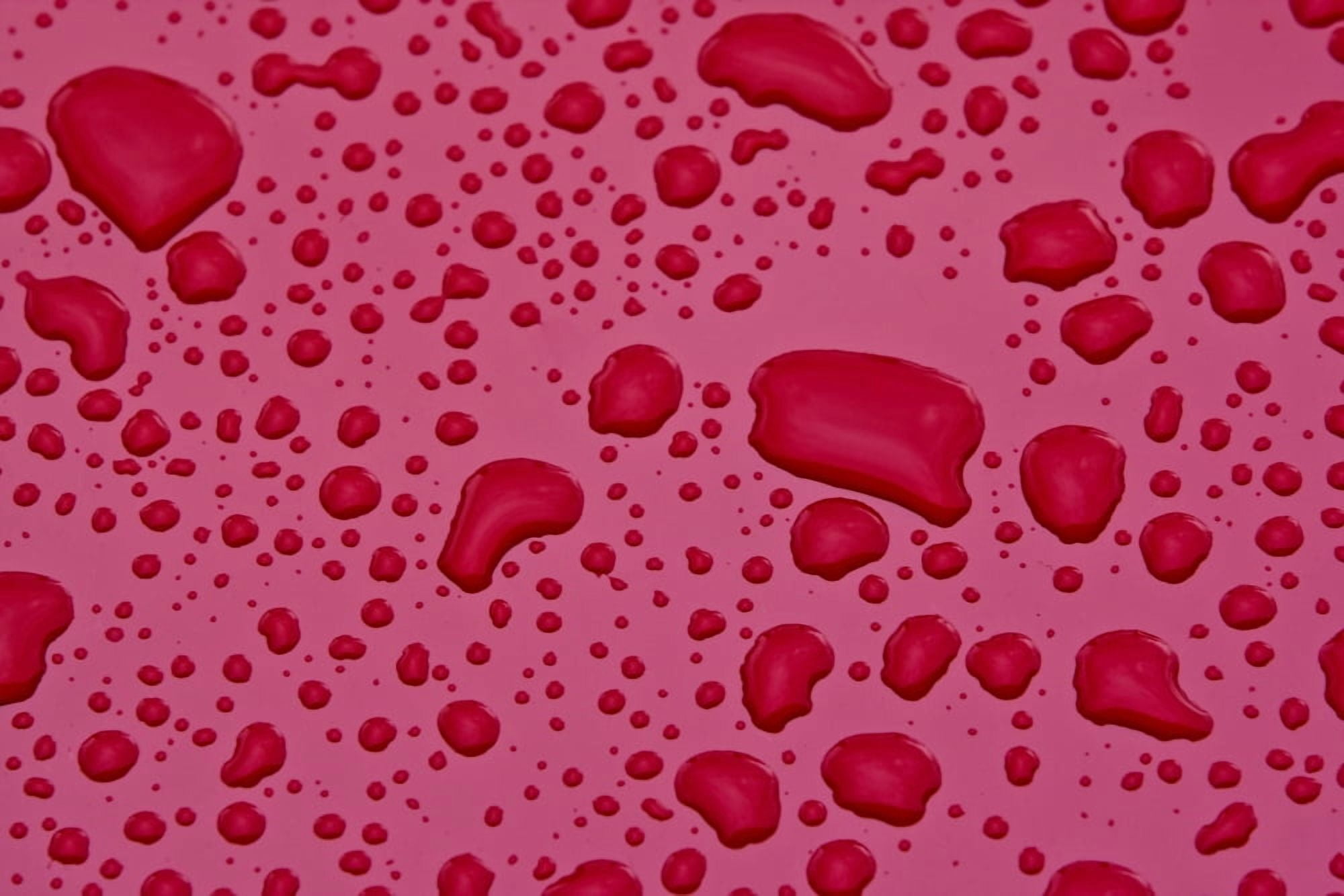 Water Drops On Pink Surface Canvas Art - Richard Wear Design Pics (17 x 11)