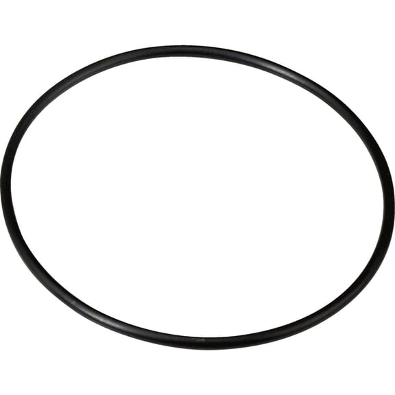 Water Filter O-Ring - Single Pack
