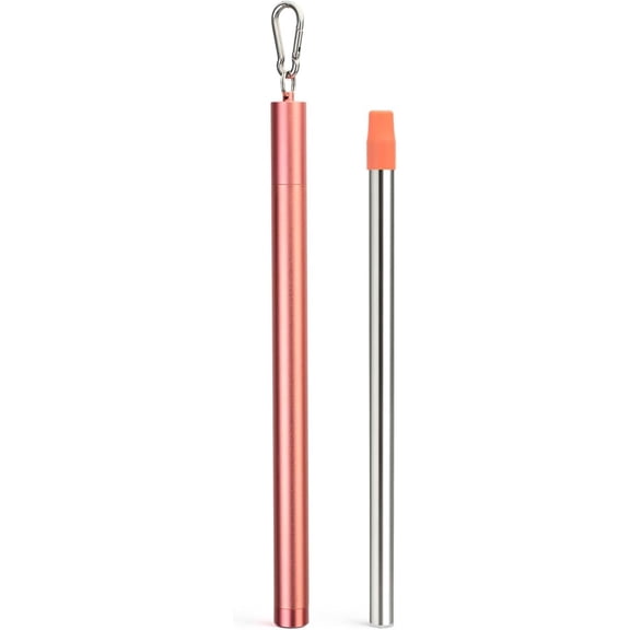 Water Filter Straw Stainless Steel Portable Outdoor Gear for Camping & Hiking Travel Personal Water Purifier Filter Straw(1 Pack)