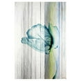 thumbnail image 1 of Water Flower by Parvez Taj Painting Print on Wrapped Canvas, 1 of 7
