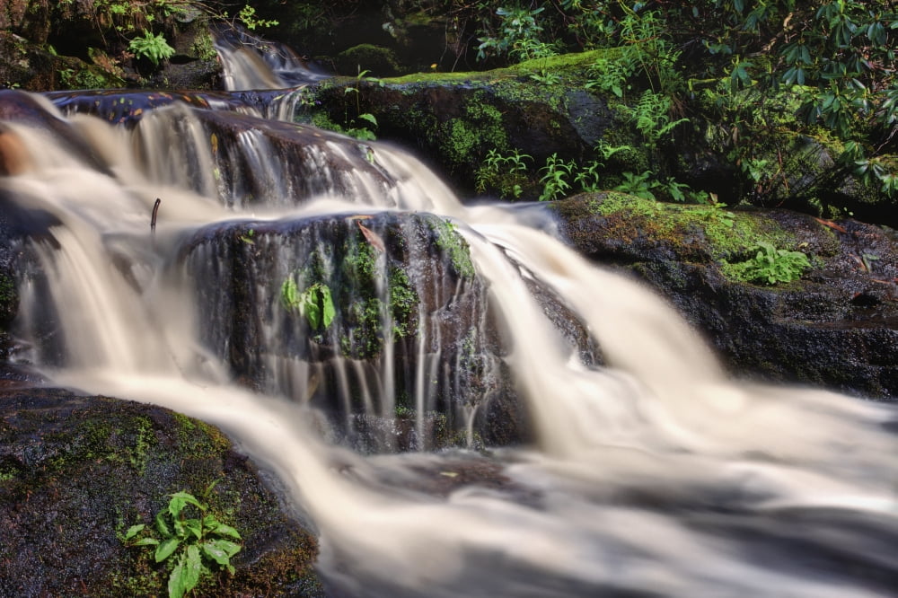Water Flowing Over Rocks With Lush Foliage Northumberland England Canvas Art - John Short Design Pics (38 x 24)