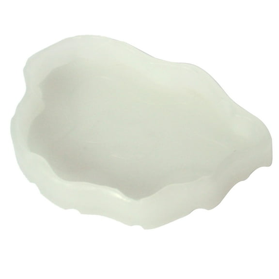 Water Food Bowl Plastic Pet Bowls Small Mealworms Dish for Bearded Dragon Cricket Tortoise