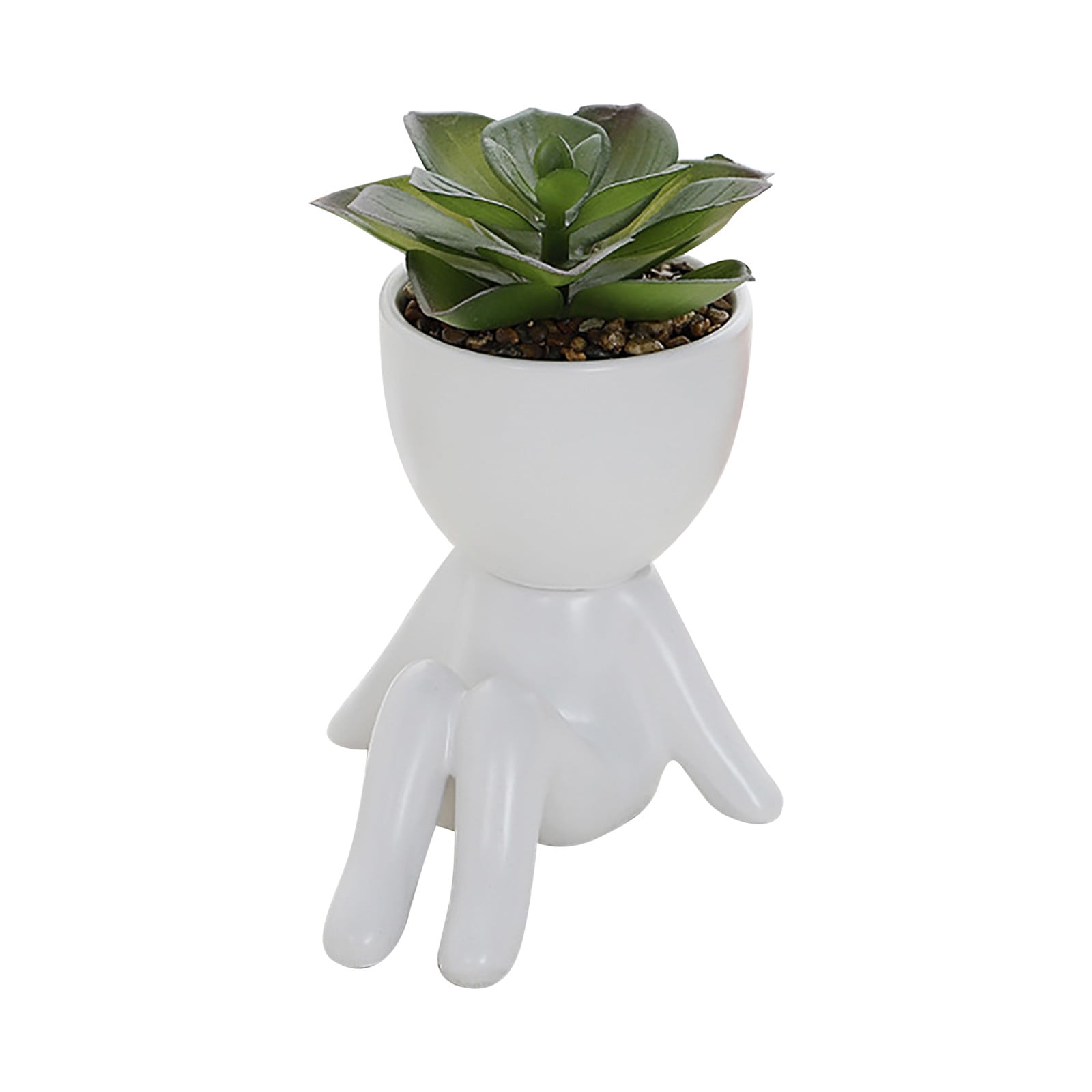 Water Garden Container Low Bowl Planter Flower Boxes for Arrangements