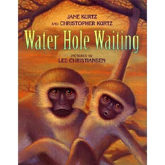 Pre-Owned Water Hole Waiting (Hardcover) 0060298502 9780060298500