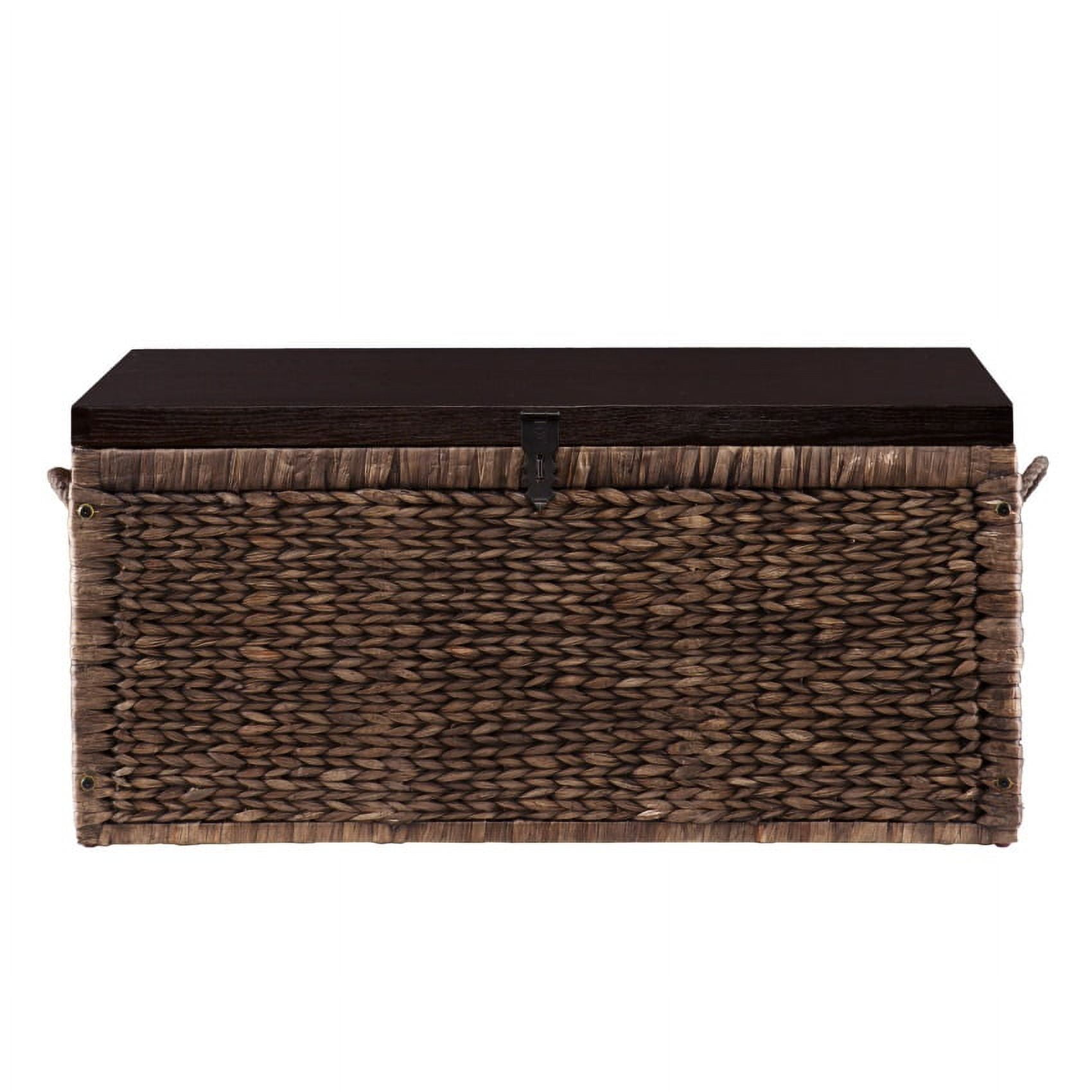 Blackwashed Water Hyacinth and Espresso Storage Trunk