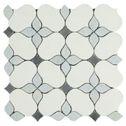 Water Jet Marble Novelty Mosaic Wall & Floor Tile - Case 10 Sheets